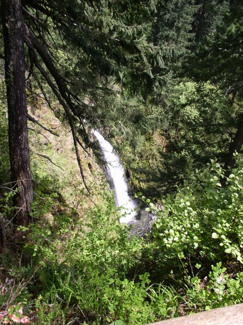 4.30.06 Hamilton Mountain 005 